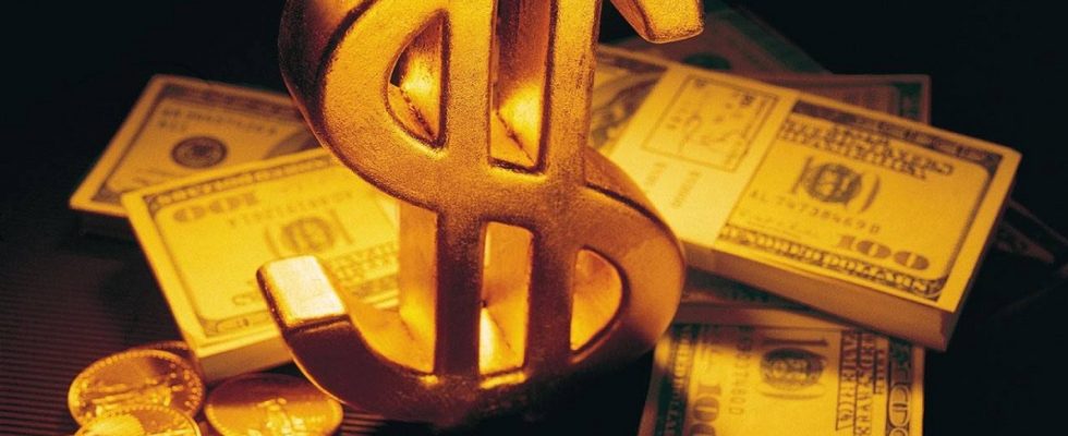 Không được mở nhiều hơn 1 công ty nhưng bạn có thể góp vốn vào nhiều công ty