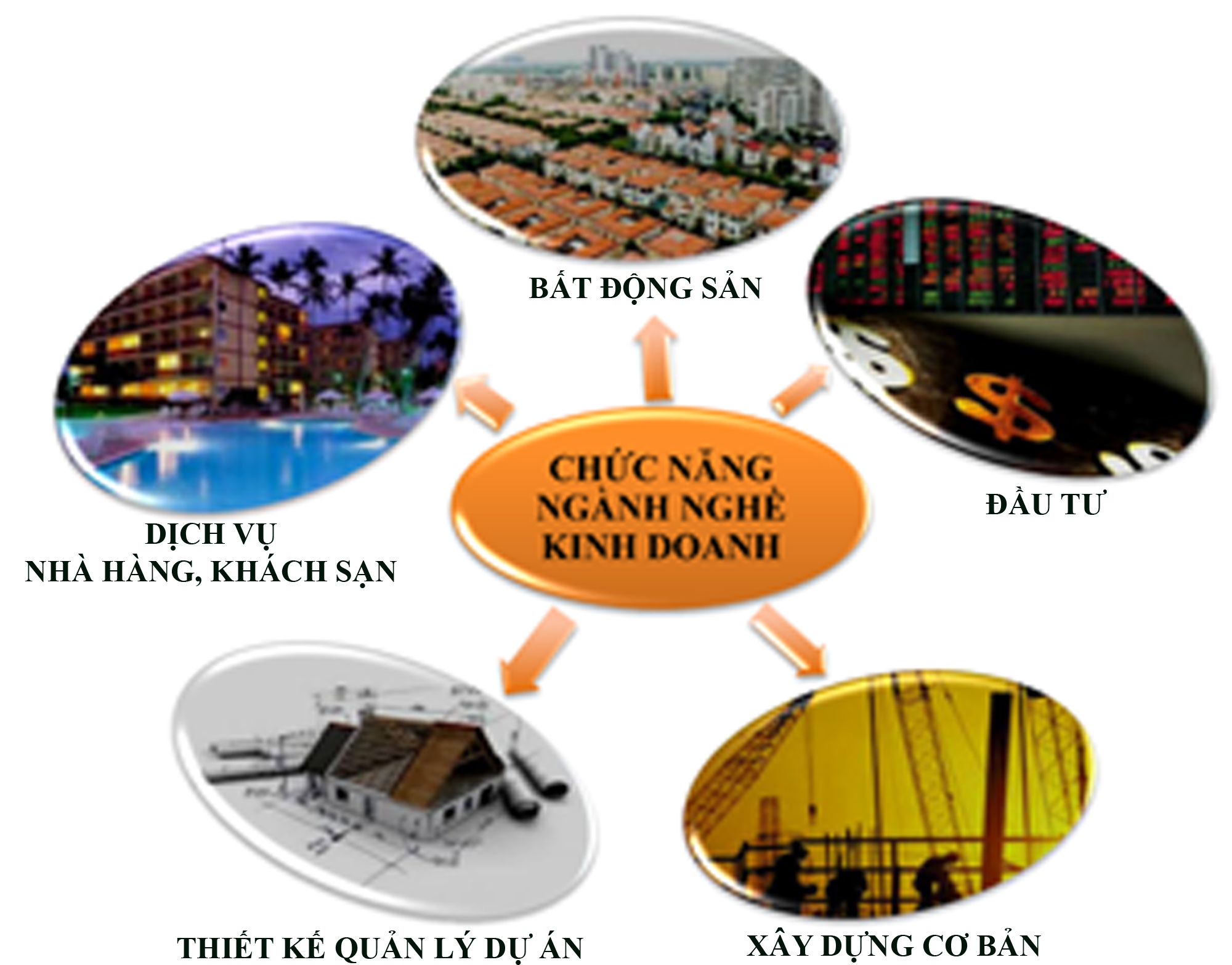 Cách ghi ngành nghề đúng pháp luật quy định