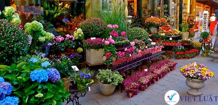 Mở cửa hàng mua bán hoa tươi, quà lưu niệm năm 2021