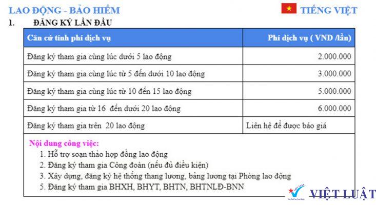 Dịch vụ đăng ký bảo hiểm của Việt Luật