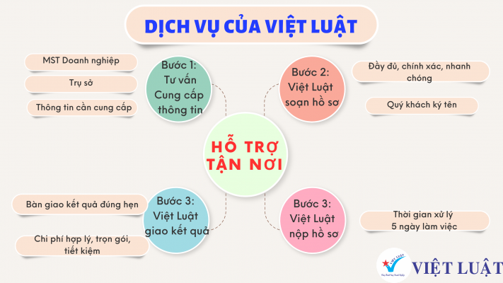 Dịch vụ của Việt Luật