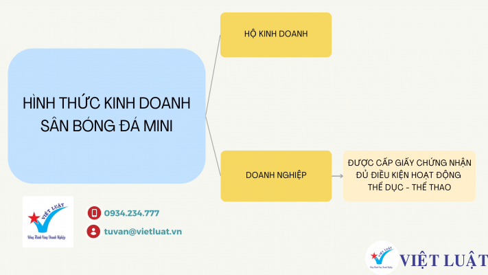 Hình thức kinh doanh sân bóng đá mini