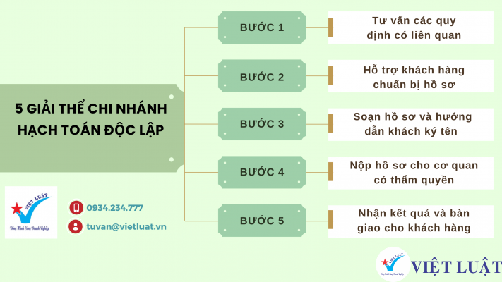 Dịch vụ của Việt Luật