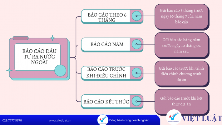 Báo cáo đầu tư ra nước ngoài