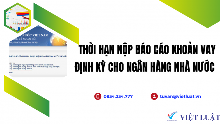 Báo cáo khoản vay định kỳ