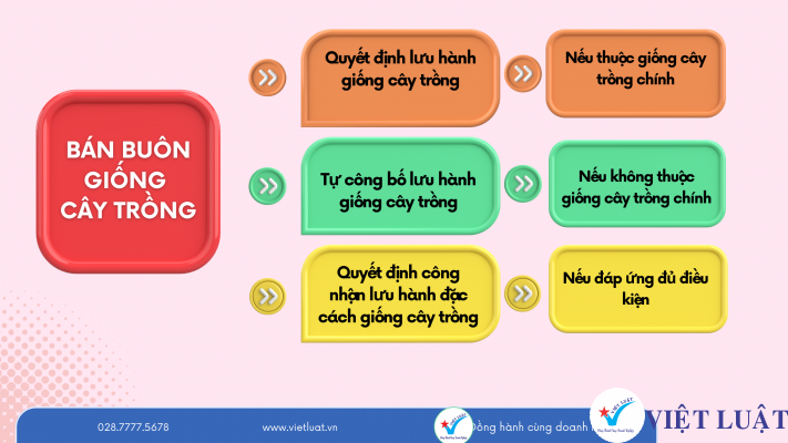 Điều kiện bán buôn giống cây trồng